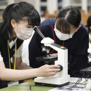 探究心がくすぐられるイワシの解剖・プランクトンの観察